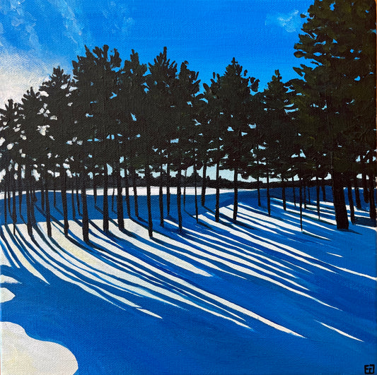 Indigo Snow