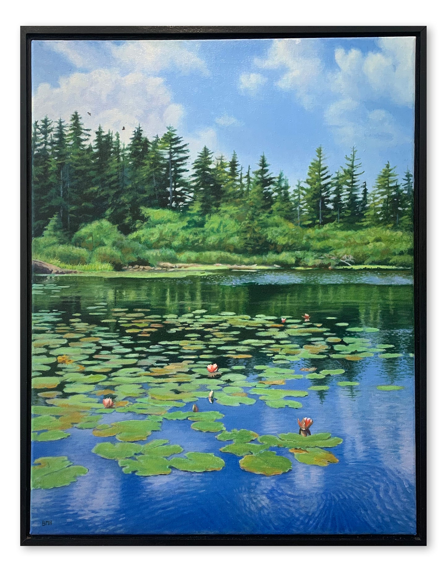 Lily Pond, Broad Cove