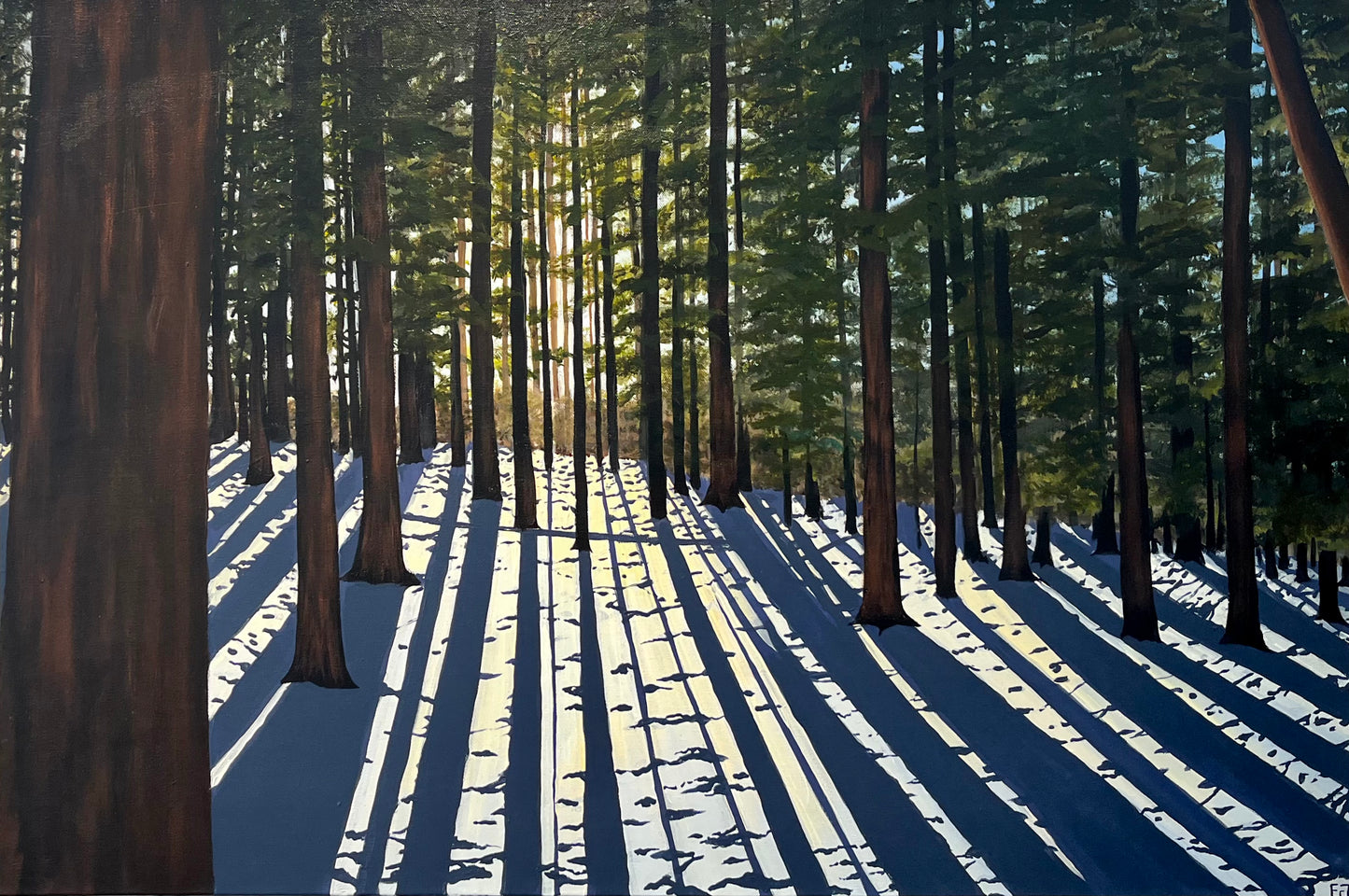 Into the Forest