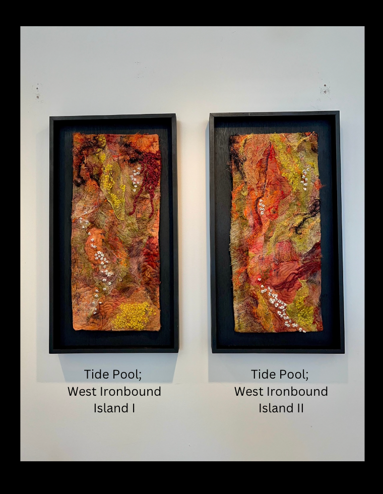 Tide Pool; West Ironbound Island II