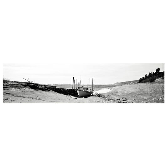 Advocate V (14.5" X 42")