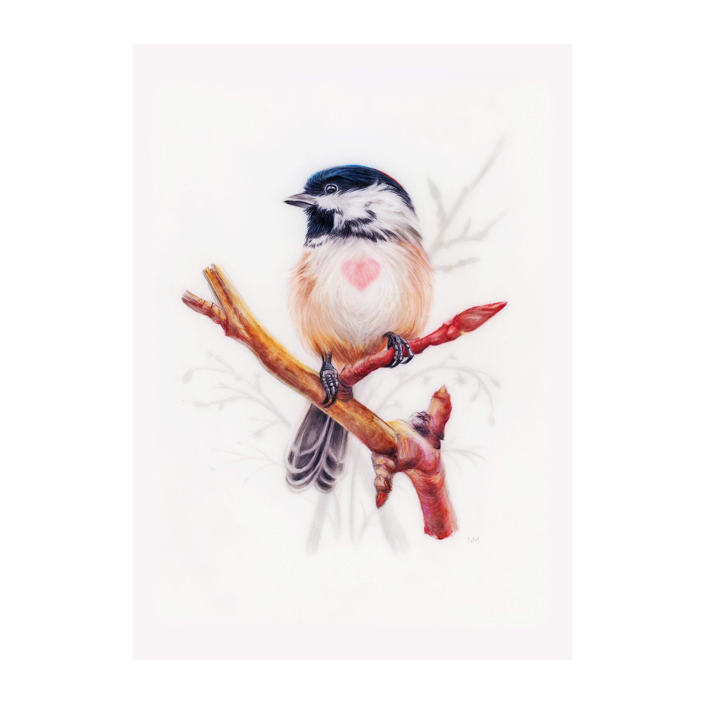 Chickadee top Love