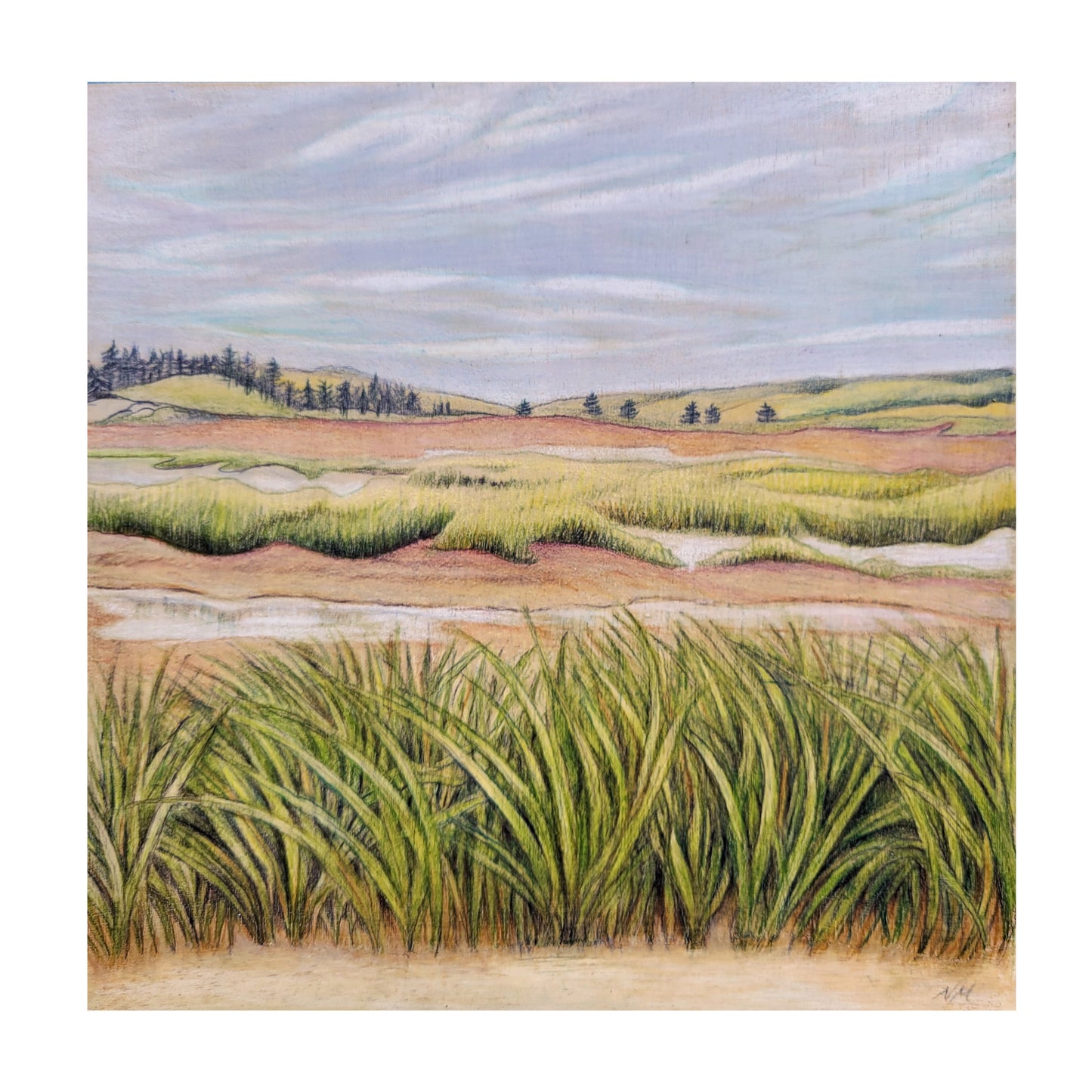 Sea Grass, Rose Bay (2022)