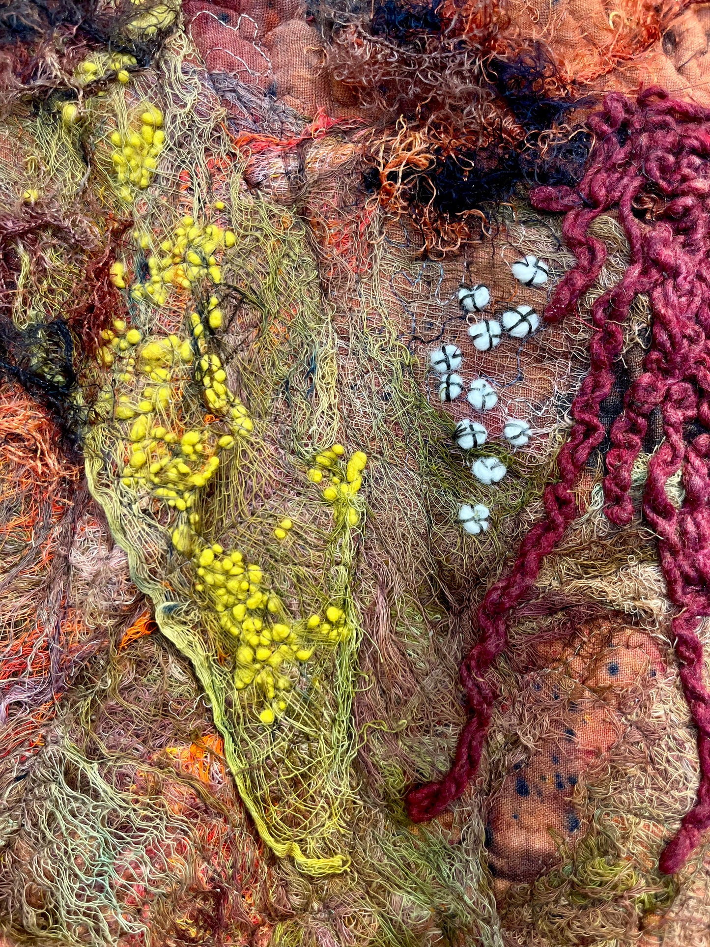 Tide Pool; West Ironbound Island I