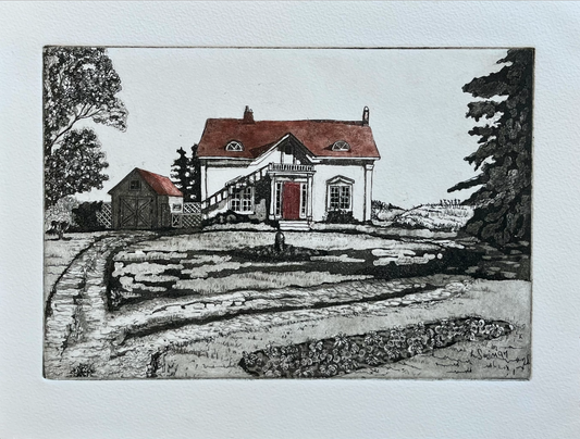 Dunedin House Etching-In Colour