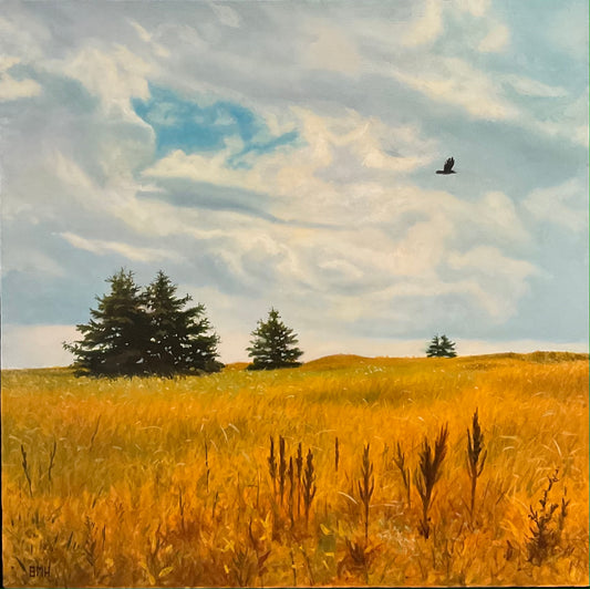 Henderson, Bruce- Crow Over Cherry Hill