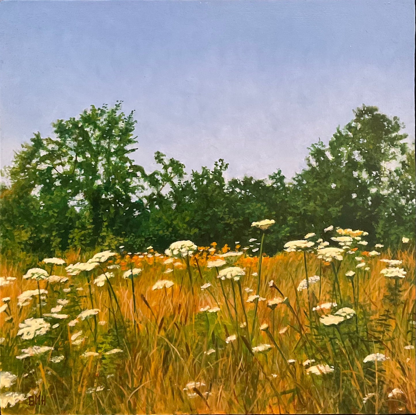 Henderson, Bruce- Queen Anne's Lace