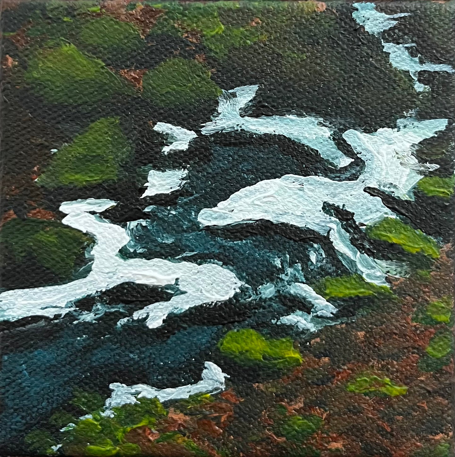 Mossy Spring Stream