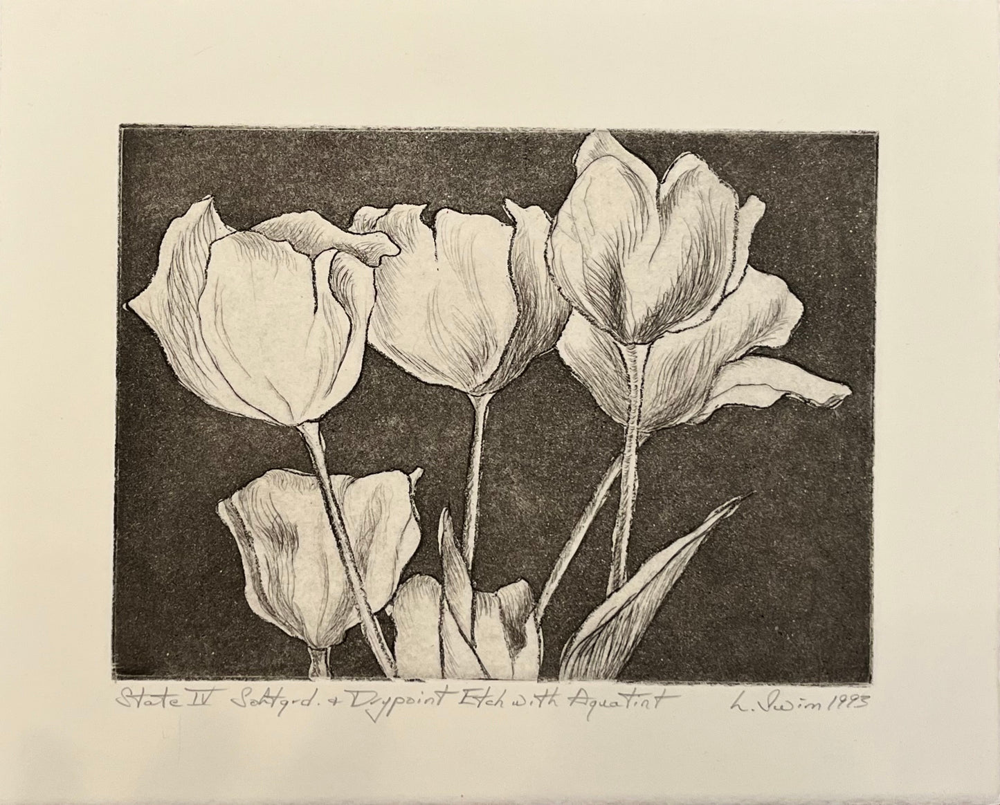 Tulips-Black and White