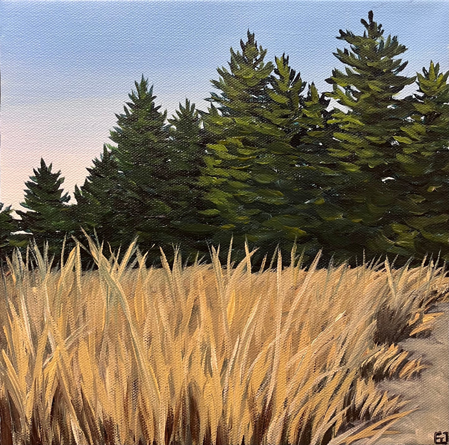 Forested Dunes