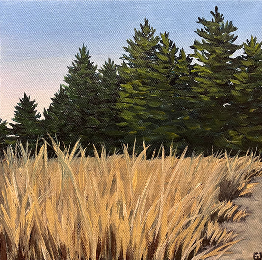 Forested Dunes