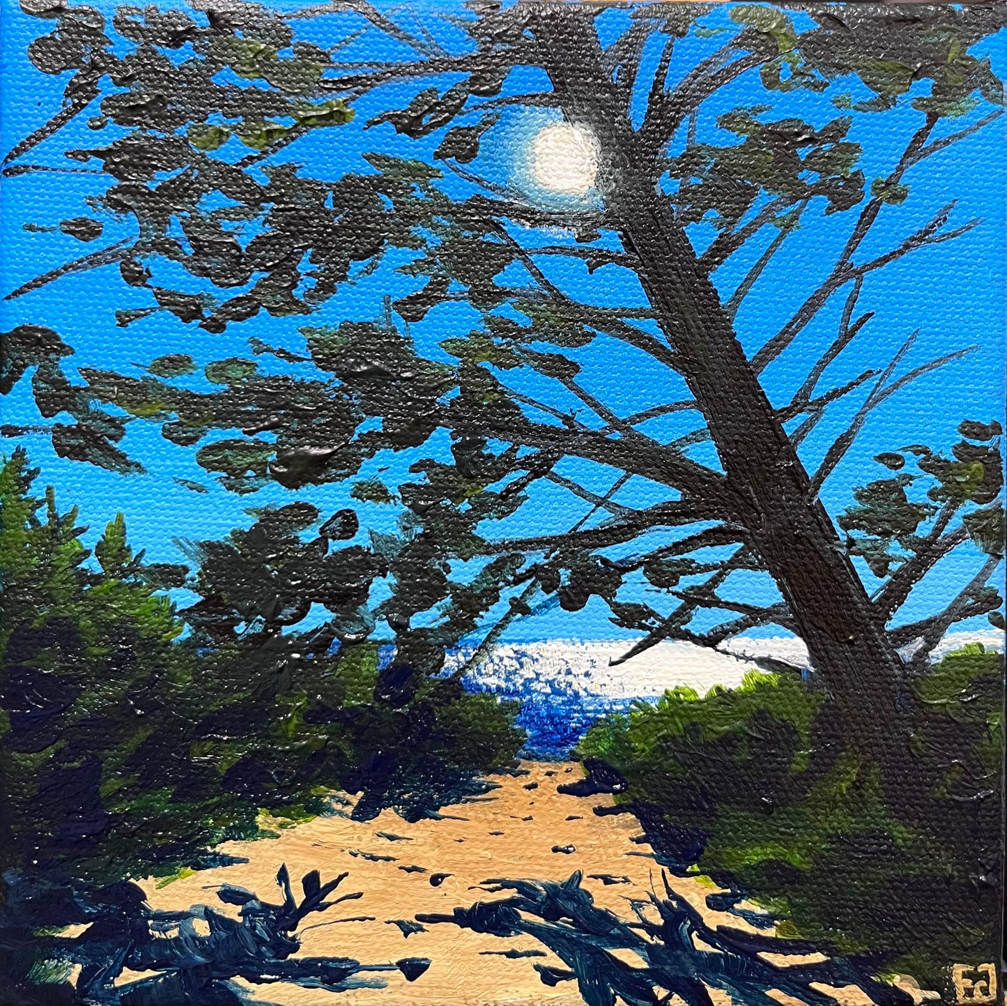 Path to the Beach