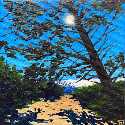 Path to the Beach