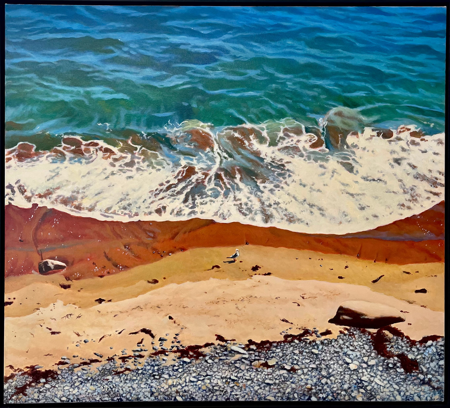 Seagull on the Seashore