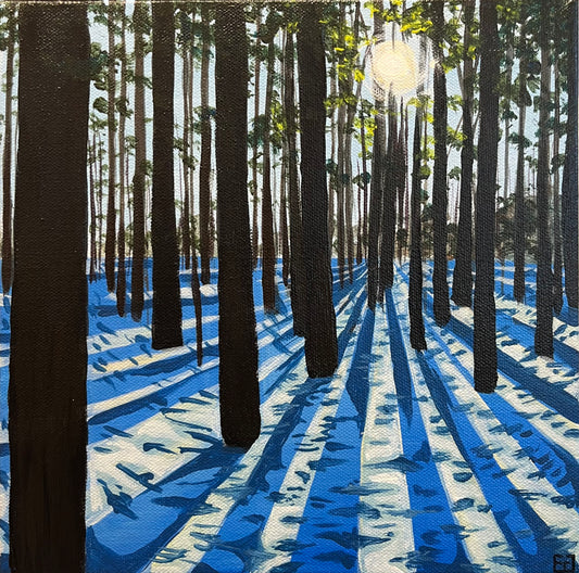 EMILY GRAETZ- Snowy Shadows