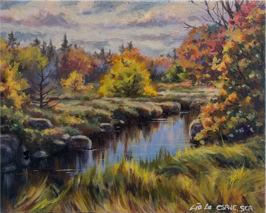 Fall Colours by the Creek