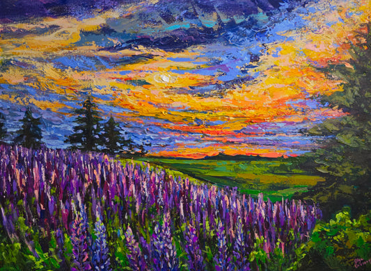 Lupins in January
