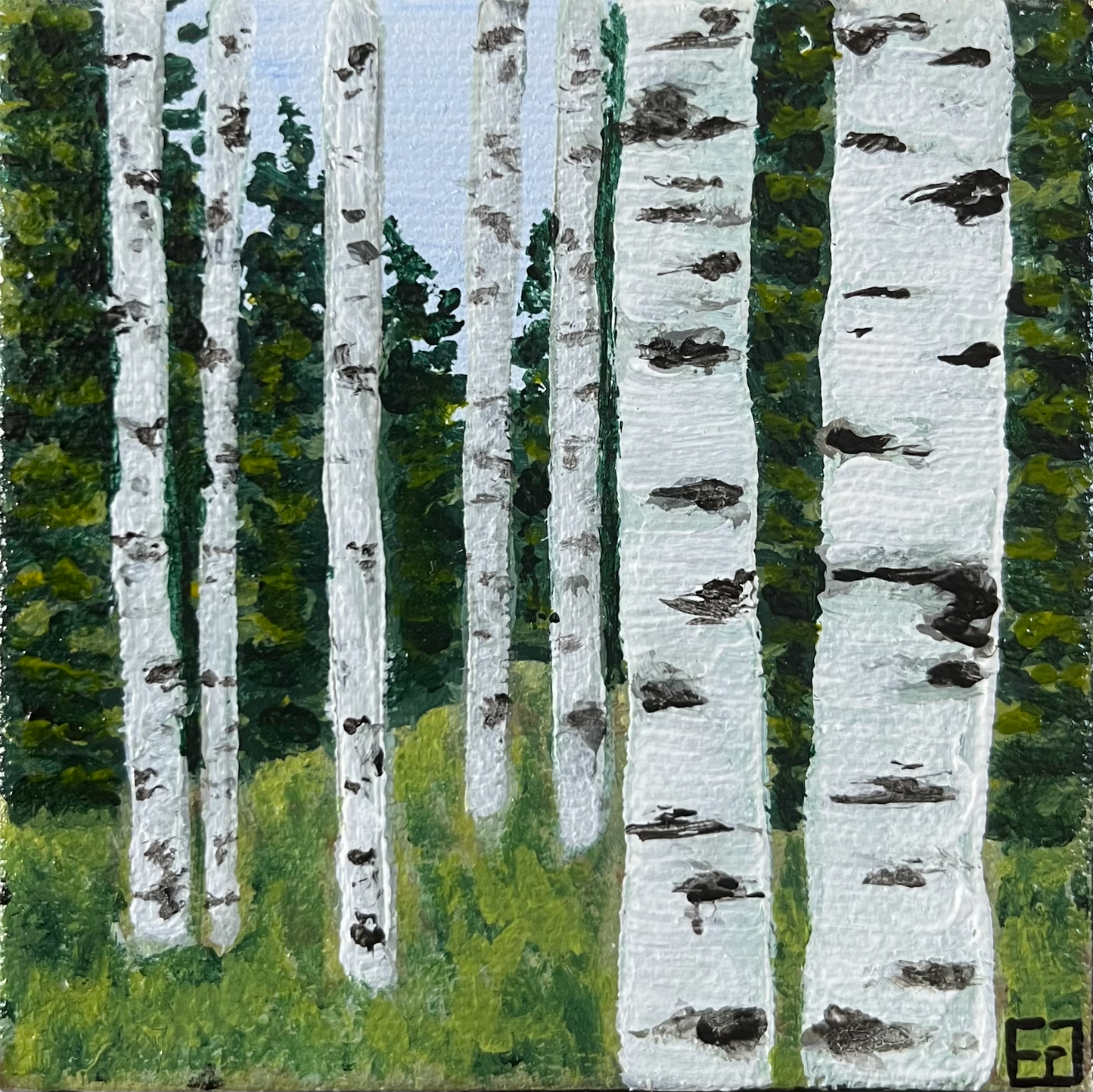 Aspen Family