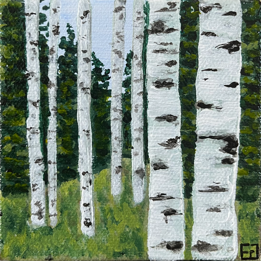 Aspen Family