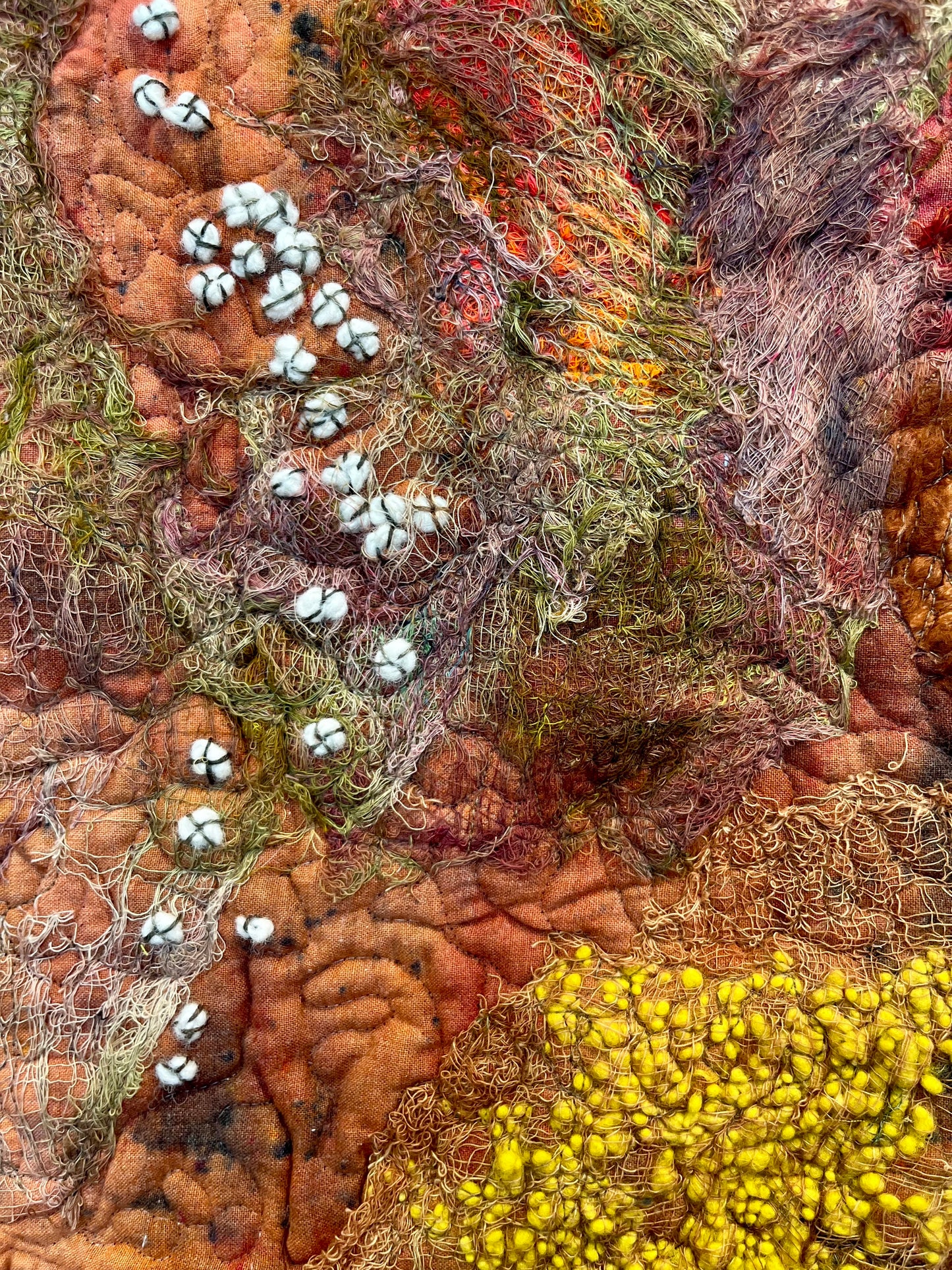 Tide Pool; West Ironbound Island I